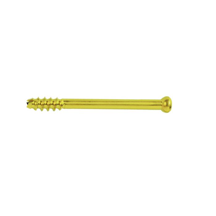 7,3 mm Canuleerbare Schroef
