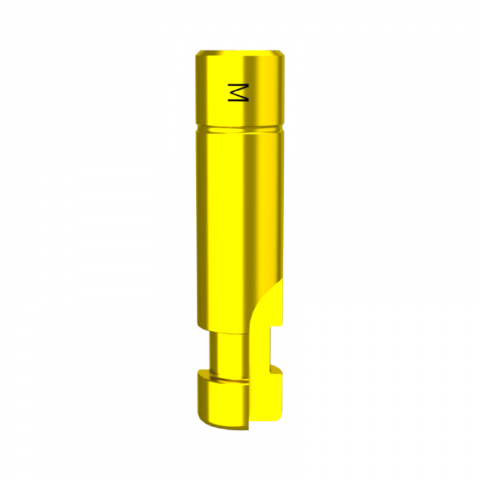 Mini DMR-replica